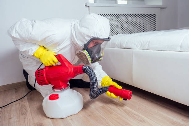 Professional Pest Control in North Lauderdale, FL