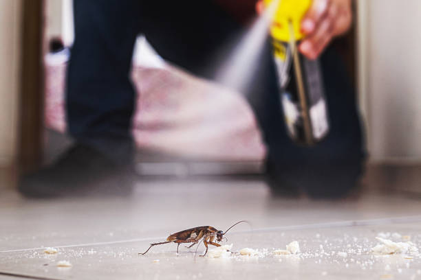 Best Mosquito Control Services  in North Lauderdale, FL